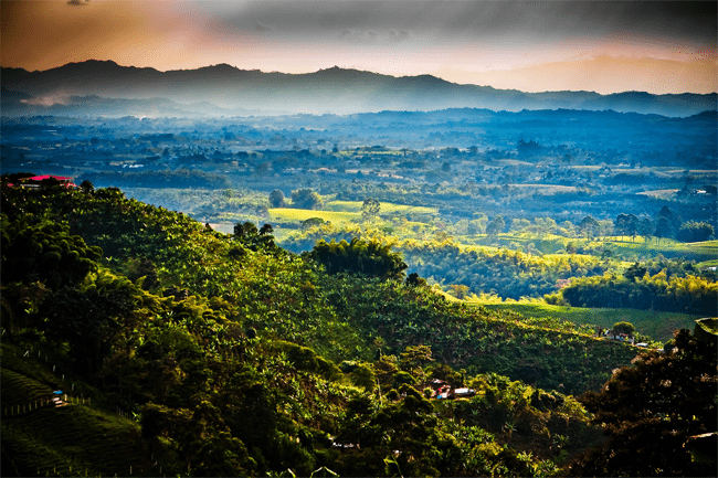 Pereira City Info: Colombia's Coffee Region Hub - Intranet 2.0 Hub